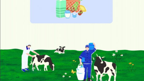 Vinamilk (VNM) chốt ngày tạm ứng cổ tức bằng tiền, tỷ lệ 24,5%