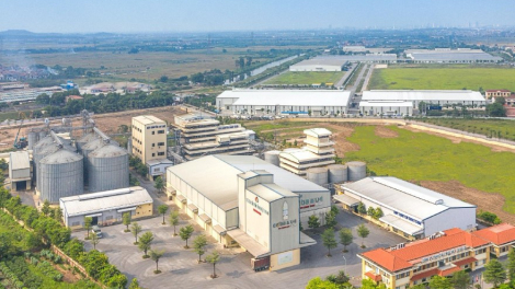 Lộ diện 15 nhà đầu tư cá nhân 'ôm' hơn 2,7 triệu cổ phiếu 'ế' của Dabaco (DBC)