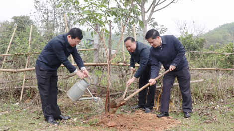 Phó Chủ tịch BCH Trung ương Hội NDVN Phạm Tiến Nam dự lễ phát động Tết trồng cây ở Hòa Bình
