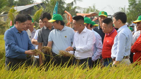 Thay đổi các tập quán lâu đời khi trồng lúa, nông dân ĐBSCL có lãi tốt hơn, giảm phát thải khí nhà kính