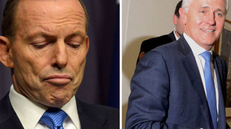 Bật mí về người đánh bại Thủ tướng Úc Tony Abbott trong chớp nhoáng