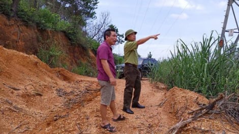 Lideco ngang nhiên phá rừng phòng hộ để kéo lưới điện cho dự án KĐT