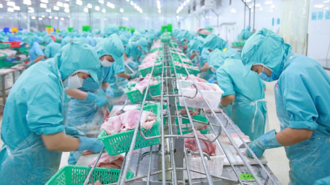 Lợi nhuận IDI 'bốc hơi' gần 85% 