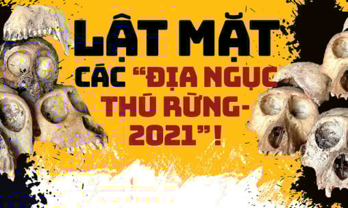 Lật mặt các 'địa ngục thú rừng - 2021': Thủ phủ của xương, sọ và thi thể… “Tôn Ngộ Không” (Bài 1)