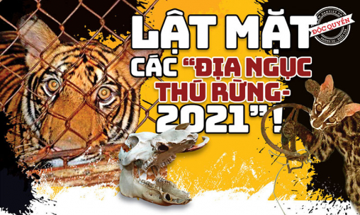 Lật mặt các “địa ngục thú rừng - 2021”: Nhà báo Điều tra và cái ngoái đầu của lương tri! (Bài cuối)