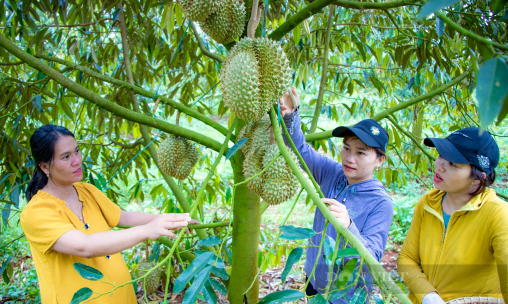 Chính thức công bố danh sách 100 'Nông dân Việt Nam xuất sắc' năm 2022