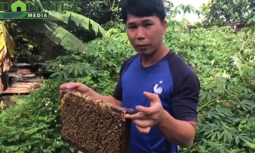Gia Lai: Chàng trai nông dân làm sản phẩm OCOP gì mà thu nửa tỷ/năm