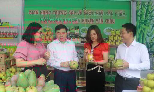  Hàng trăm mặt hàng nông sản tiêu biểu từ vùng núi cao Mường La được trưng bày, giới thiệu