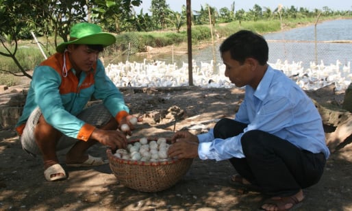Quỳnh Phụ điển hình xây dựng NTM: Từ nâng cao nhận thức đến cơ chế kích cầu