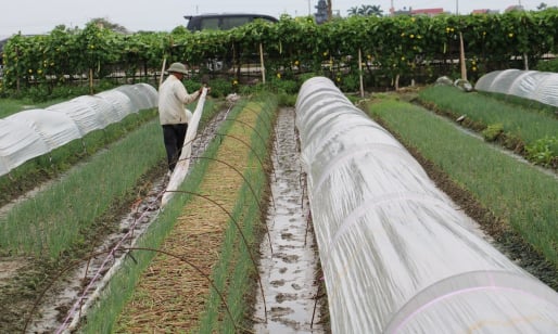Quỳnh Phụ điển hình xây dựng NTM: Chủ trương đúng tạo đòn bẩy trúng