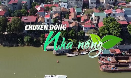 Chuyển động Nhà nông 13/3: Tỉnh Bắc Ninh sẽ dành 115 tỷ đồng để tu bổ đê điều