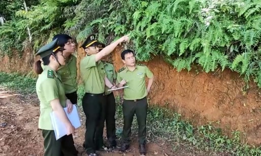 'Trợ thủ đắc lực' trong công tác bảo vệ rừng