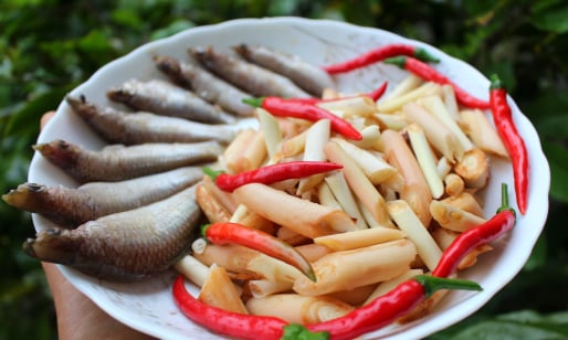 Kể chuyện làng: Lên Trường Sơn thưởng thức 'ruột riềng'