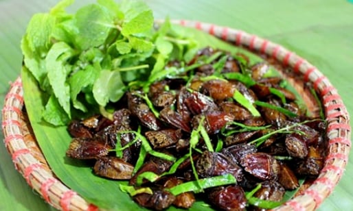 Kể chuyện làng: Đặc sản bọ xít trứ danh ngon 'quên đường về' của bà con người Thái Tây Bắc