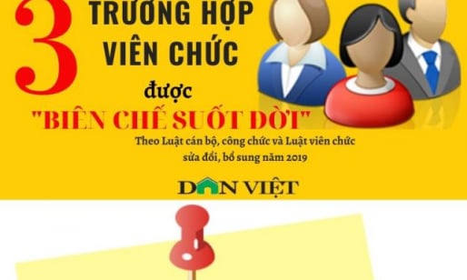 3 trường hợp viên chức được 'biên chế suốt đời' theo quy định mới