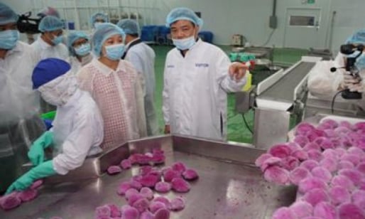 SCB đồng hành cùng nông dân Việt giữa mùa dịch virus corona