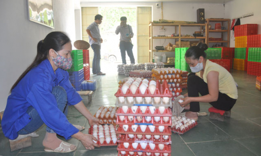 Công nghệ giúp giải quyết điệp khúc buồn “được mùa – mất giá”