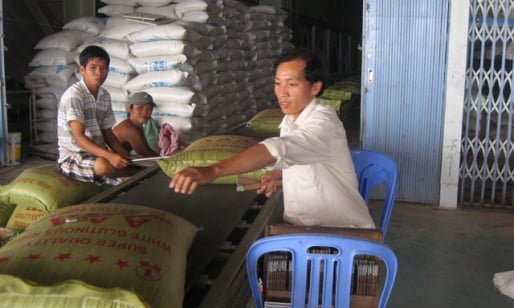 Xuất khẩu gạo khởi sắc nhờ giá... rẻ nhất thế giới ?