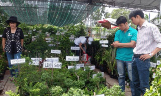 Nông dân đi học xúc tiến thương mại