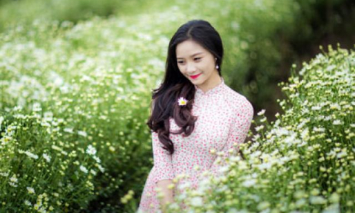 Xôn xao cúc họa mi đầu đông