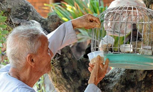 Làng trường thọ ở miền Tây