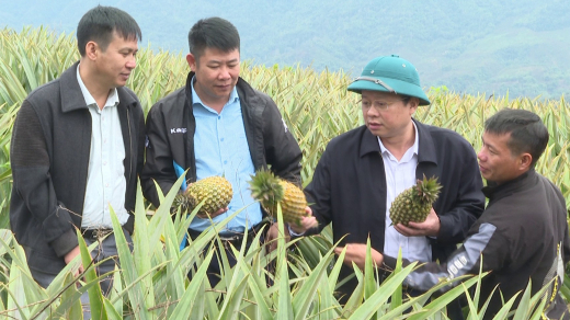 Nậm Nhùn chung sức xây dựng nông thôn mới