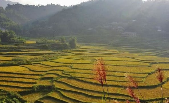 Pù Luông mùa lúa chín: Lạc vào tiên cảnh