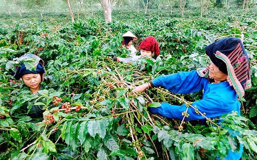 Mường Ảng: Hành trình vươn lên từ khó khăn, giảm nghèo bền vững