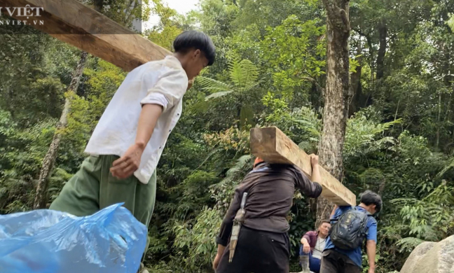 'Moi ruột' Vườn quốc gia Hoàng Liên (Bài 2): 'Lâm tặc' kể mánh phá rừng pơ mu ngay giữa lõi Vườn quốc gia