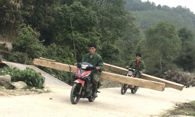 'Moi ruột' Vườn quốc gia Hoàng Liên (Bài 3): Kiểm lâm đi qua, gỗ quý vẫn được tuồn ra khỏi rừng