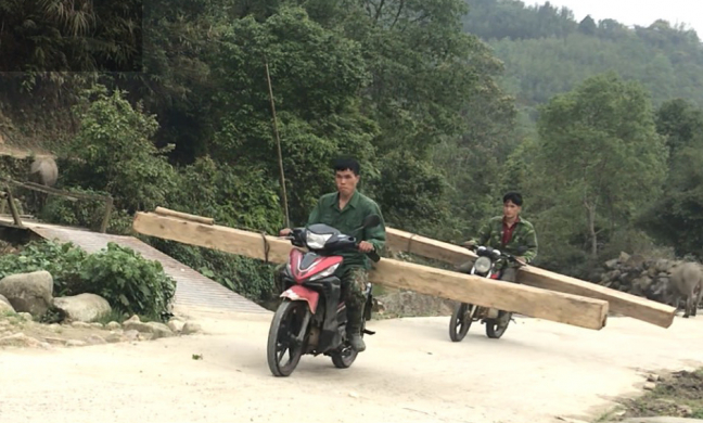 Trách nhiệm vụ phá rừng pơ mu Vườn quốc gia Hoàng Liên qua góc nhìn pháp lý
