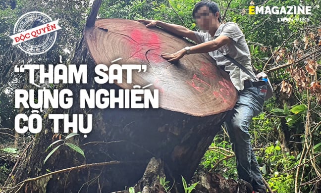 Vụ 'thảm sát' rừng nghiến cổ thụ khủng nhất Việt Nam - Bài 2: Vỡ trận vì để bà con 'không ưng cái bụng'