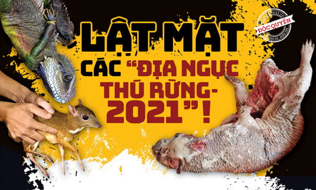 Lật mặt các 'địa ngục thú rừng': Cả “khu bảo tồn” ngơ ngác chờ lên thớt (Bài 2)