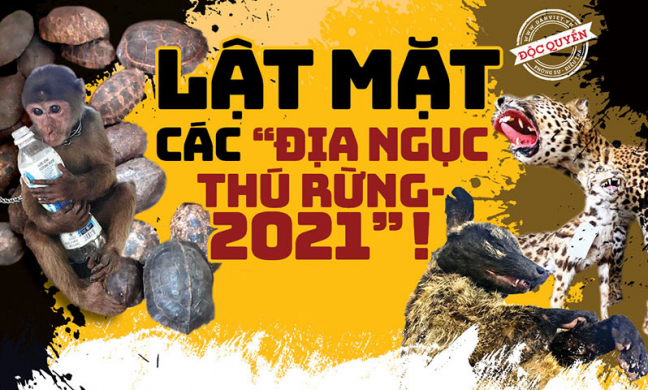Lật mặt các “địa ngục thú rừng” 2021: Lập 'trại tù binh' thú rừng trong toa lét! (Bài 4)