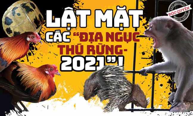 Lật mặt các “địa ngục thú rừng” 2021: Bất ngờ với đường “vượt biên” của hoang thú (Bài 6)