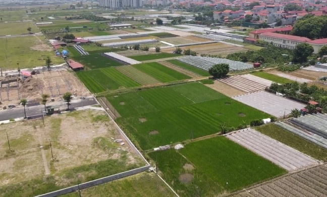 Dự thảo Luật Đất đai (sửa đổi): Nhiều bất cập trong giao đất và cho thuê đất
