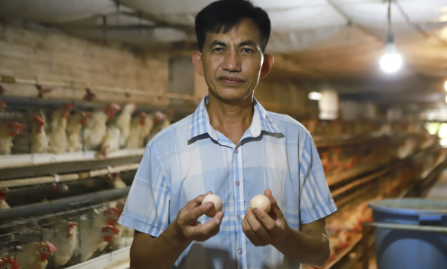 Một tỷ phú nuôi gà đẻ ở Hải Dương được bình chọn là 'Nông dân Việt Nam xuất sắc 2022'