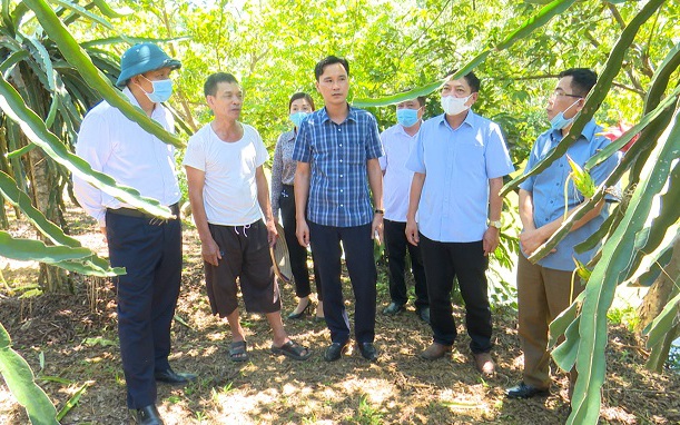 Phú Thọ là tỉnh duy nhất cả nước có 3 Nông dân Việt Nam xuất sắc năm 2022