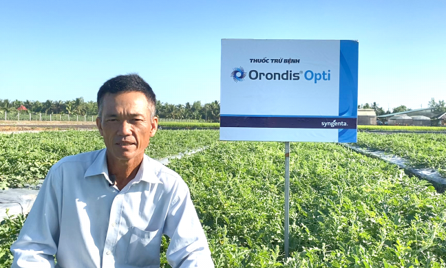 Syngenta Việt Nam 'trình làng' sản phẩm công nghệ mới phòng trị sương mai, giả sương mai trên rau màu