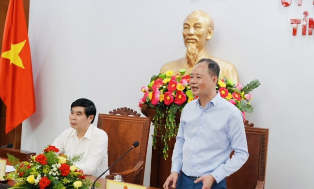 Thứ trưởng Trần Hồng Thái: Bình Định có tiềm năng, lợi thế phát triển KHCN, đổi mới sáng tạo rất lớn