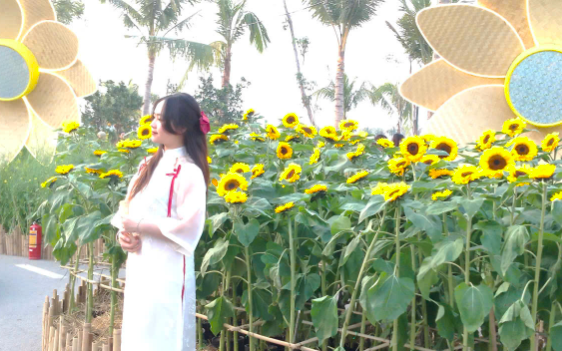 Lời chúc đầu Xuân: 'Công danh tấn tới' gửi đồng nghiệp và lời nhắn đáng suy ngẫm cho chính mình