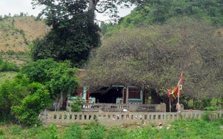 Huyền bí ngôi chùa linh thiêng nằm giữa 2 dãy núi lớn: Là nơi cất giữ báu vật trong tổ mối 'độc nhất' Việt Nam