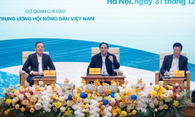 Thủ tướng yêu cầu lập 'tổ công tác đặc biệt” kiểm tra hiện trạng sử dụng đất tại các nông lâm trường