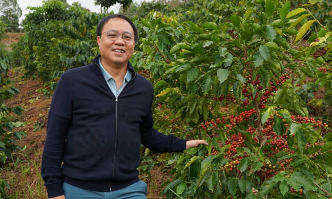 Giá cà phê điên đảo, vì sao vùng trồng cà phê Arabica nổi tiếng Lâm Đồng bỗng trở nên tiêu điều?