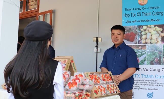 Trồng cây đặc sản, nuôi con đặc sản, các HTX ở Sơn La 'ngồi nhà' sao vẫn chốt đơn 'ầm ầm'?