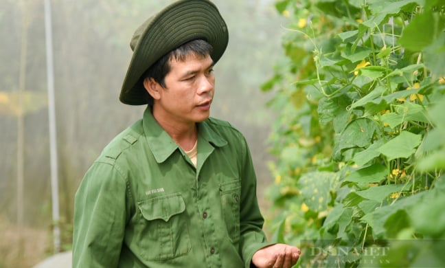 57 trong nông nghiệp: Tâm sự của các nhà khoa học khi làm nông dân, tránh 'vẽ voi trên giấy' (Bài 8)