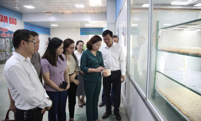 57 trong nông nghiệp: 3 khó khăn của nông dân xuất sắc, HTX khi “đổi mới sáng tạo” (Bài 7)