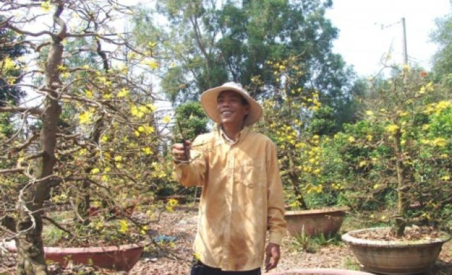 Chiêm ngưỡng siêu mai “khủng” rầm rộ 'đổ bộ' về Sài Thành