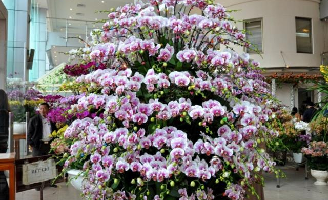 “Người đẹp bạc triệu” lan hồ điệp chơi Tết 2018: Làm không kịp bán