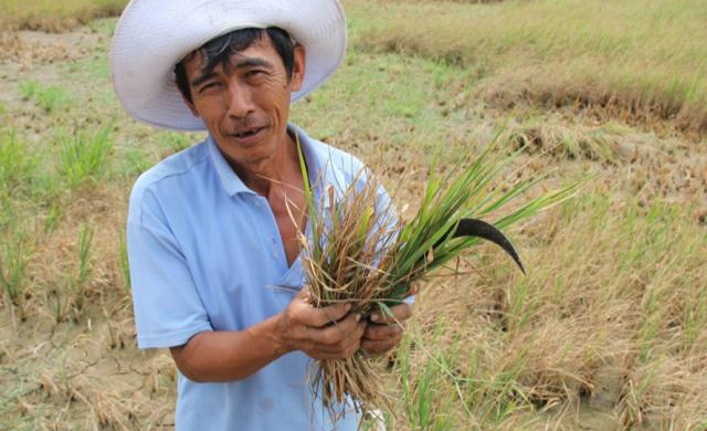 22.000 tỷ đồng cho đồng bằng sông Cửu Long chống BĐKH